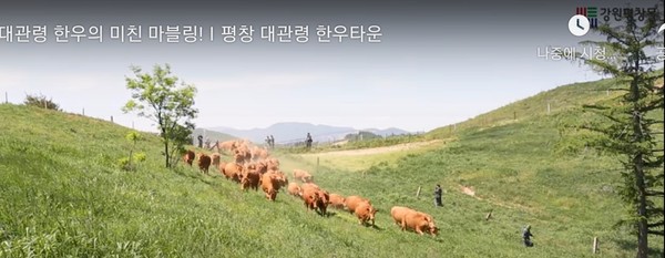 ⓒ 강원도경제진흥원