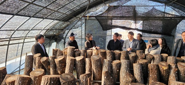 표고버섯 재배 임가방문(충남 부여) ⓒ 산림청 